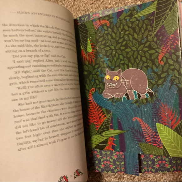 Alice’s Adventures in Wonderland & Through the Looking Glass - Illustrated - Picture 14 of 14